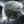 Avatar for ClDvor